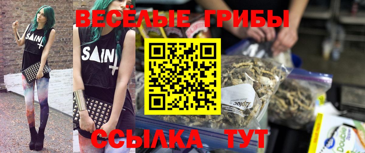 Волоколамск  Галлюциногенные грибы GOLDEN TEACHER  Псилоцибиновые грибы Psilocybe  Вход с VPN 